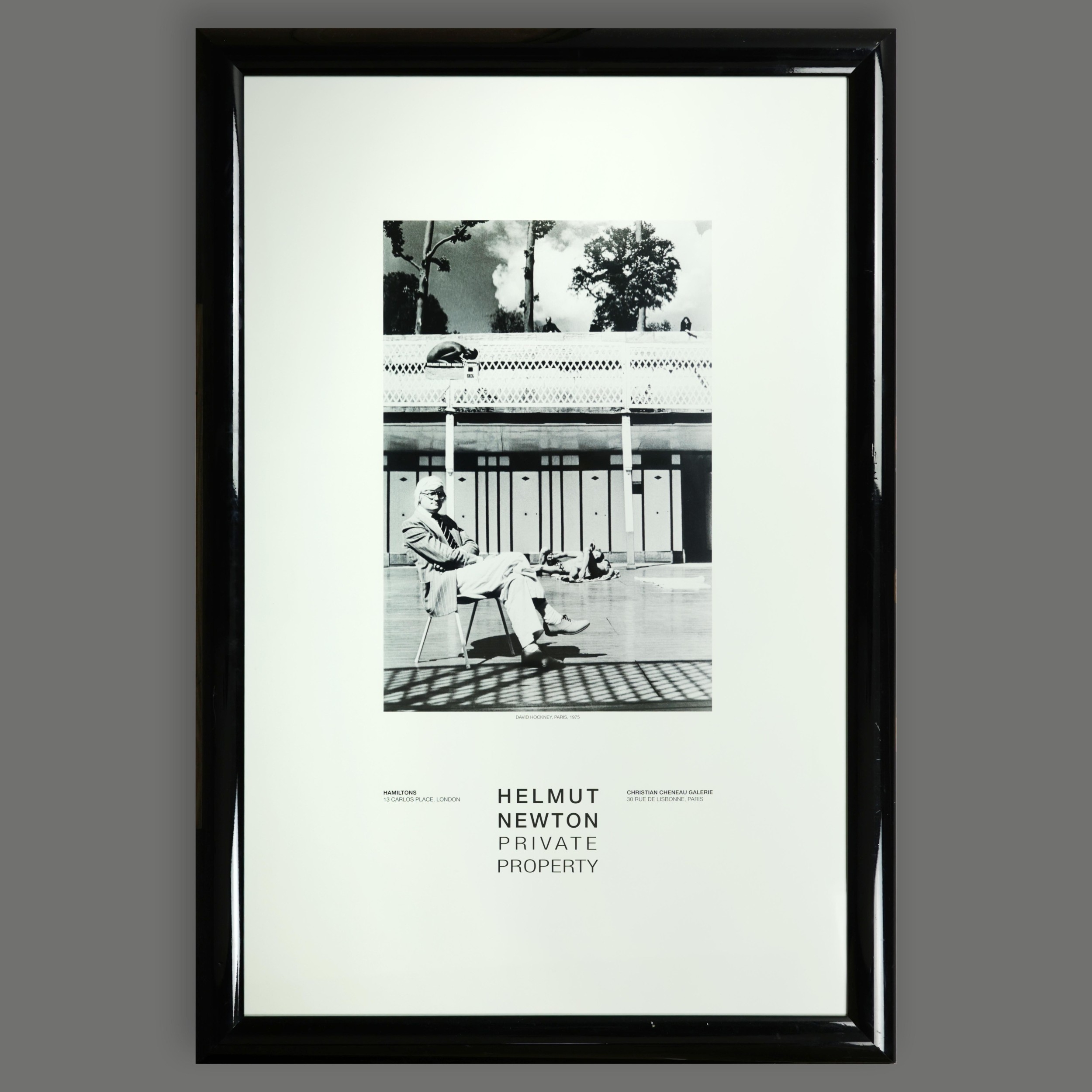 Helmut Newton Private Property exhibition poster featuring David Hockney